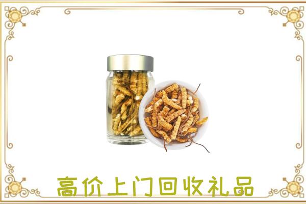 昌都周边回收虫草